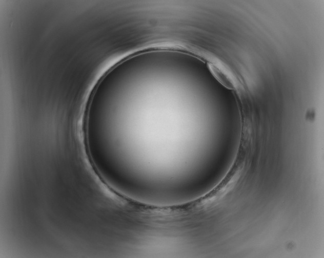 X0000102830959200808181321