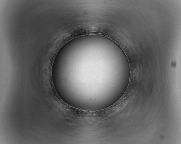 X0000102830961200808181320
