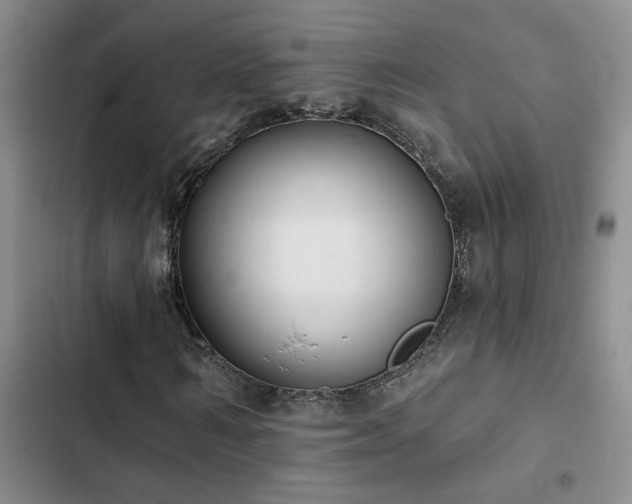 X0000102830962200808181320