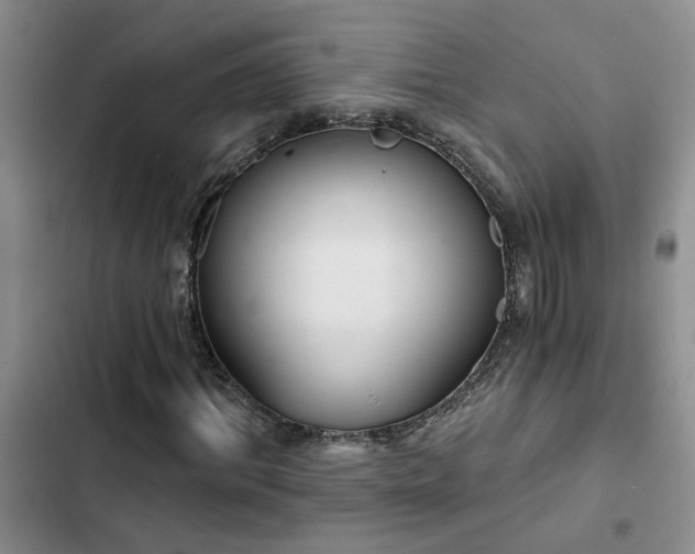 X0000102830964200808181320