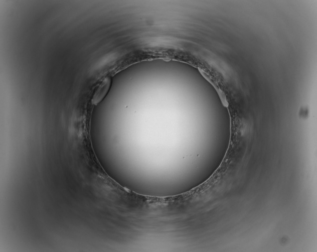 X0000102830965200808181320