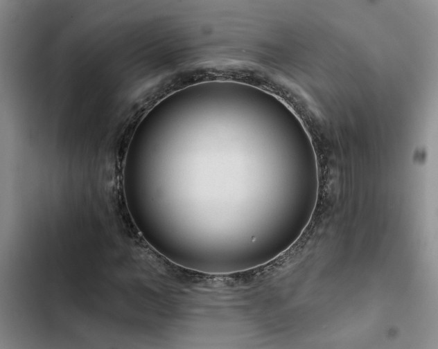 X0000102830966200808181320