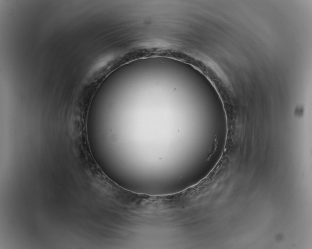 X0000102830967200808181320