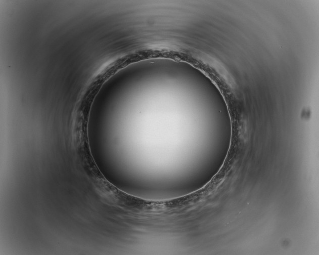 X0000102830968200808181320