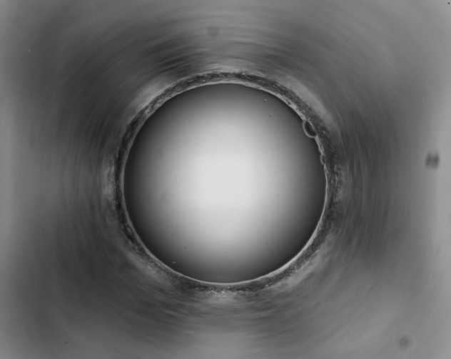 X0000102830969200808181320