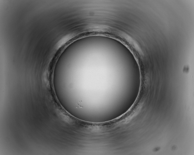 X0000102830970200808181320