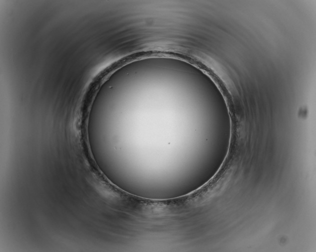 X0000102830971200808181320