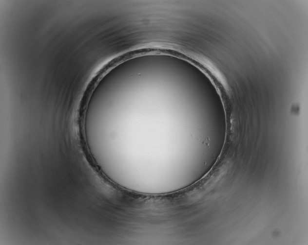 X0000102830972200808181320