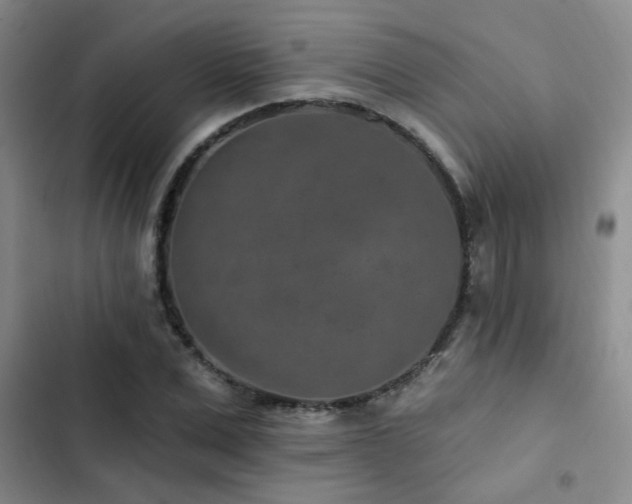 X0000102830975200808181320