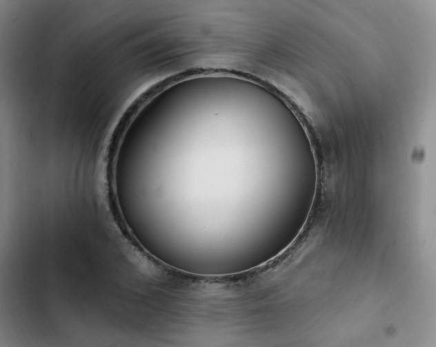 X0000102830976200808181320