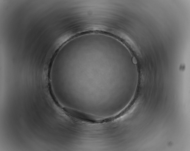 X0000102830977200808181320