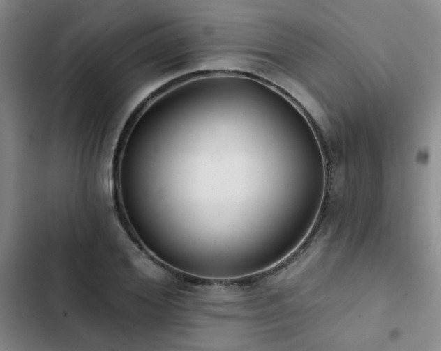 X0000102830980200808181320