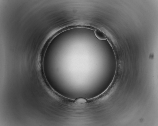 X0000102830981200808181320
