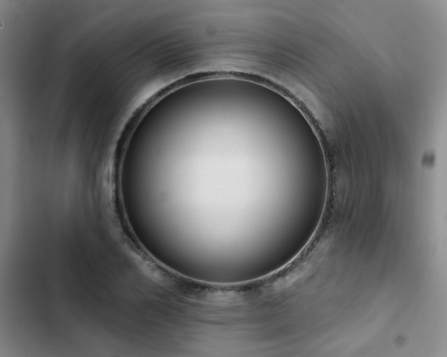 X0000102830982200808181320
