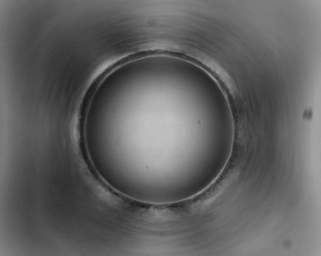 X0000102830983200808181320