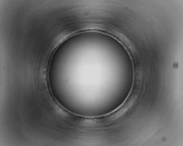 X0000102830985200808181320