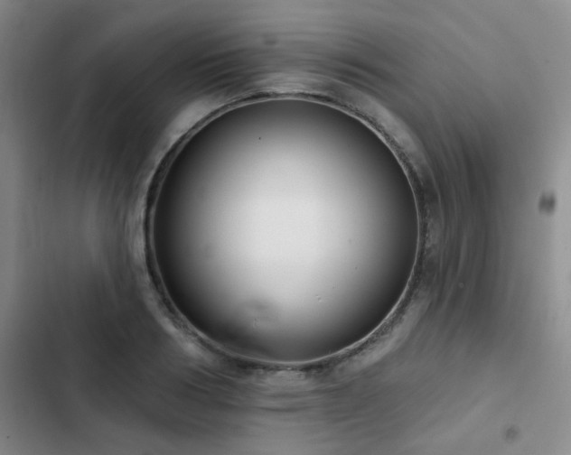 X0000102830986200808181320