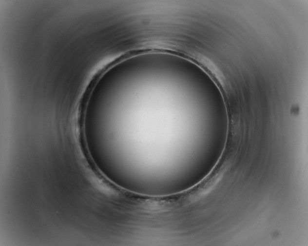 X0000102830987200808181320