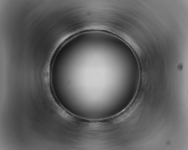 X0000102830988200808181320
