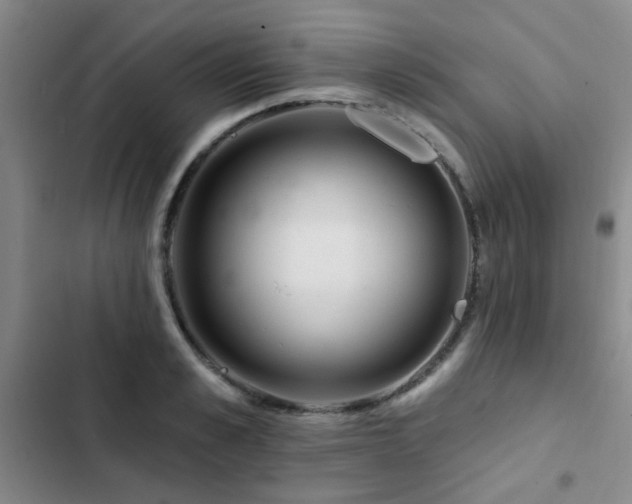 X0000102830989200808181320