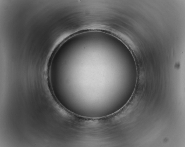 X0000102830990200808181320