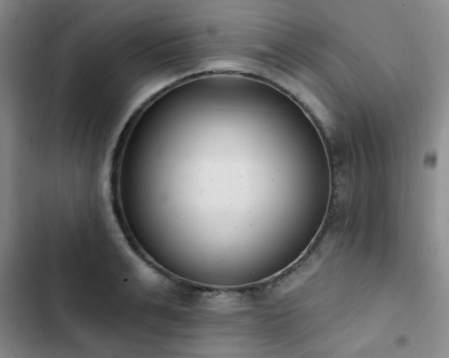 X0000102830991200808181320
