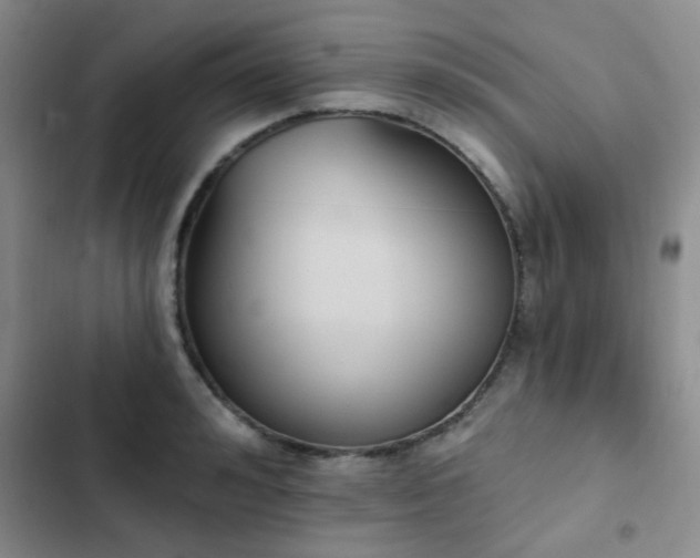 X0000102830992200808181320