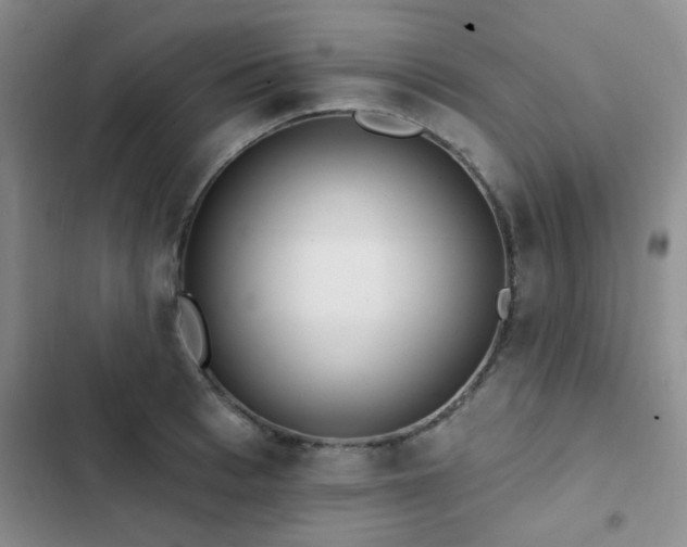 X0000102830993200808181320