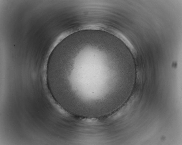 X0000102830994200808181320