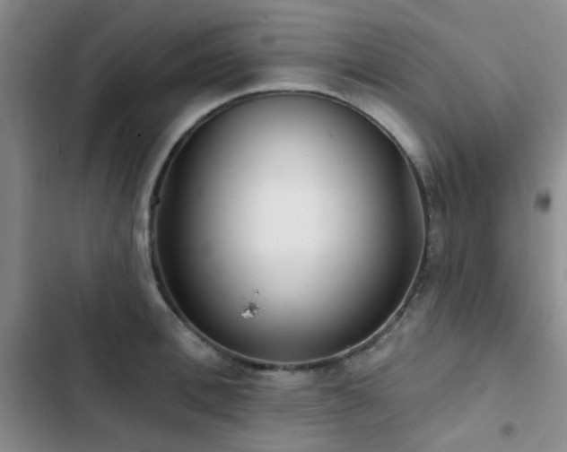 X0000102830996200808181320