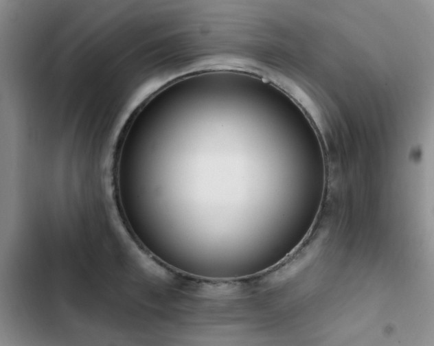 X0000102830997200808181320