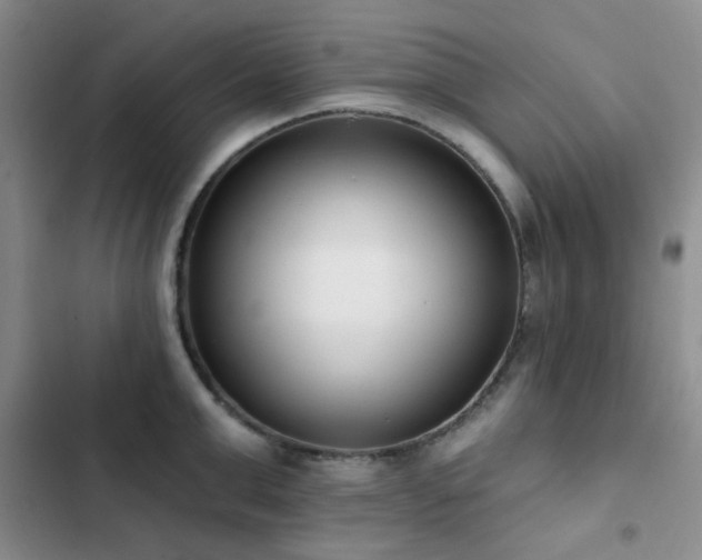 X0000102830999200808181320