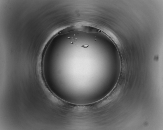 X0000102831000200808181320