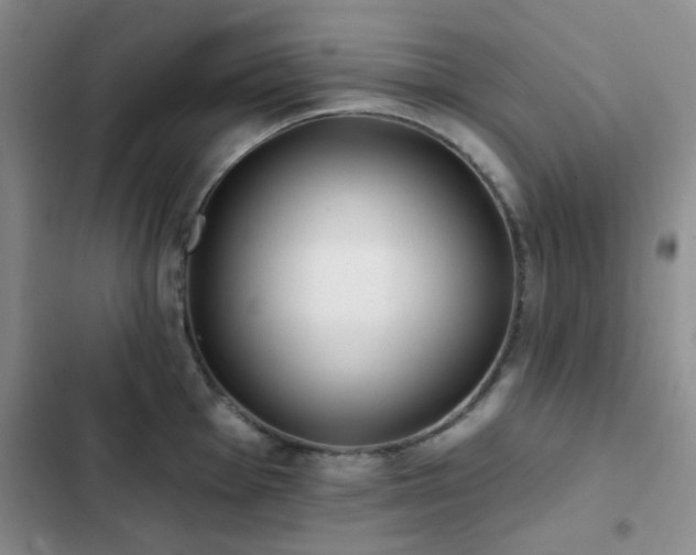 X0000102831001200808181320