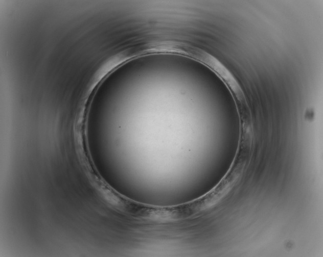 X0000102831002200808181320