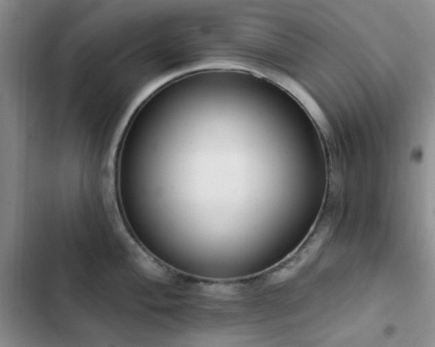 X0000102831004200808181319