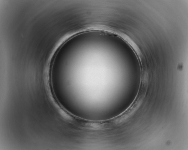 X0000102831005200808181319