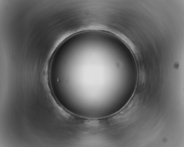 X0000102831006200808181319