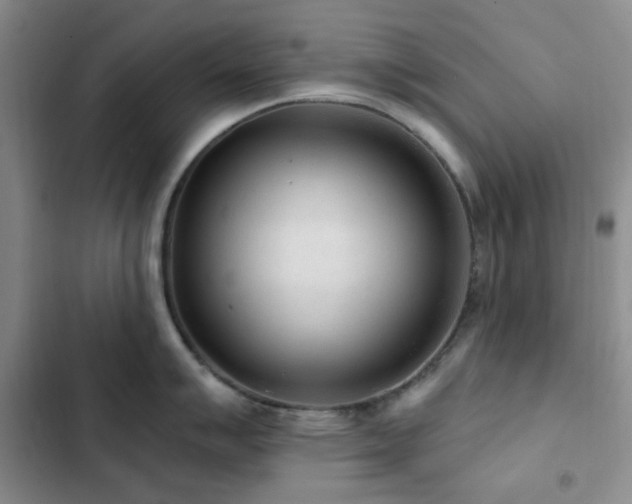 X0000102831007200808181319