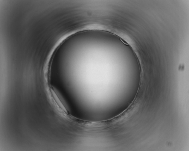 X0000102831008200808181319