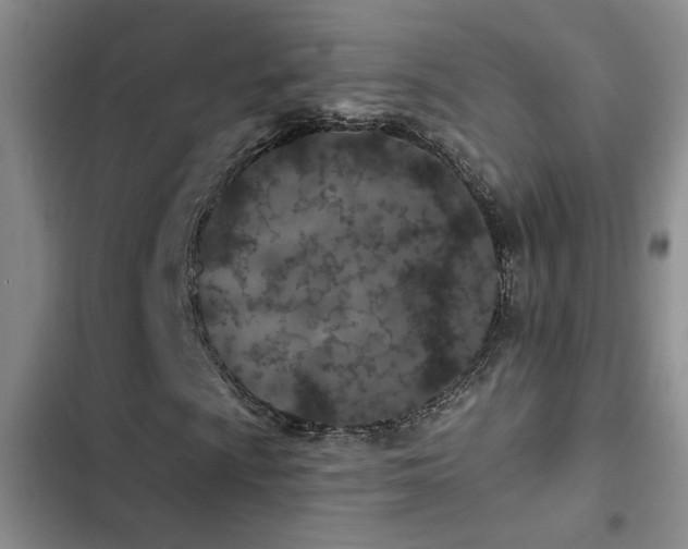 X0000102831009200808181319