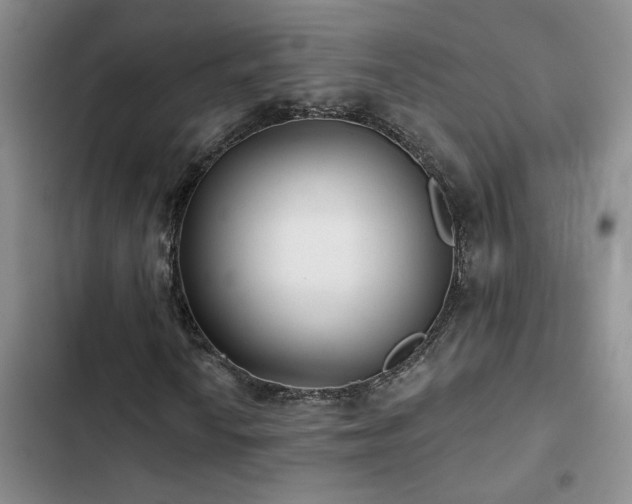 X0000102831010200808181319