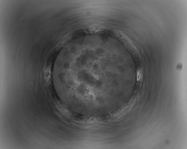 X0000102831011200808181319