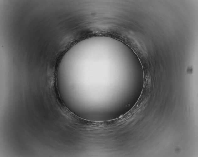 X0000102831012200808181319