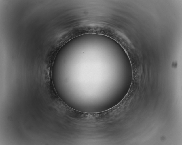X0000102831013200808181319