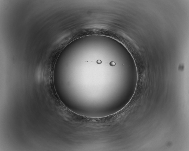 X0000102831014200808181319