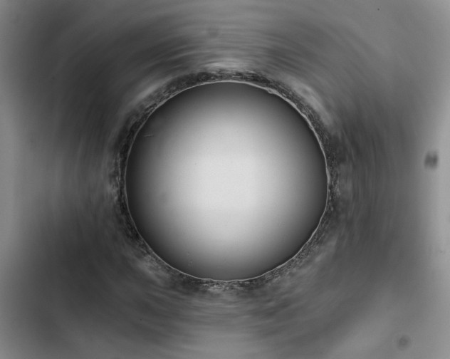 X0000102831015200808181319