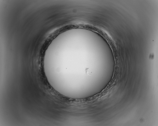 X0000102831016200808181319