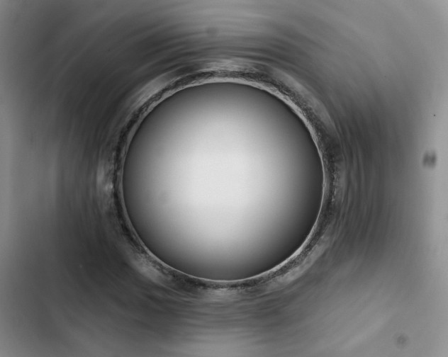 X0000102831017200808181319