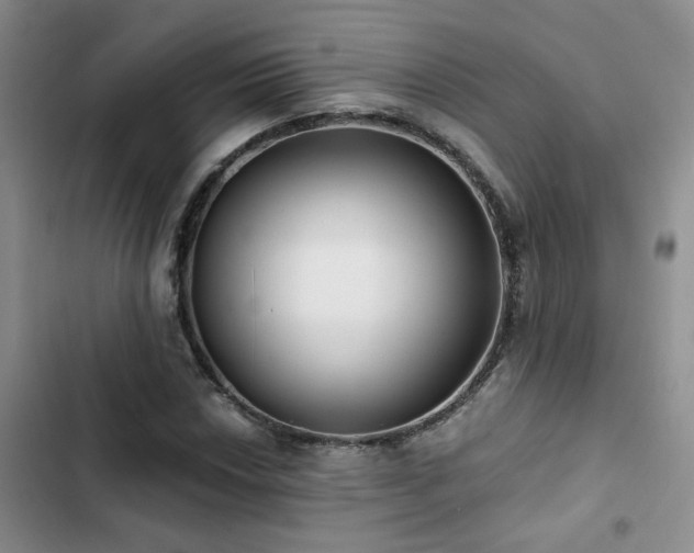 X0000102831018200808181319